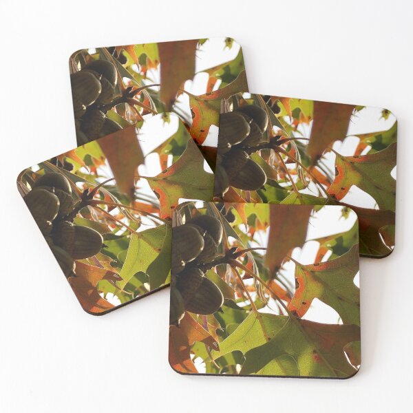 Item preview, Acorns, no filter photograph designed and sold by GiSilver.