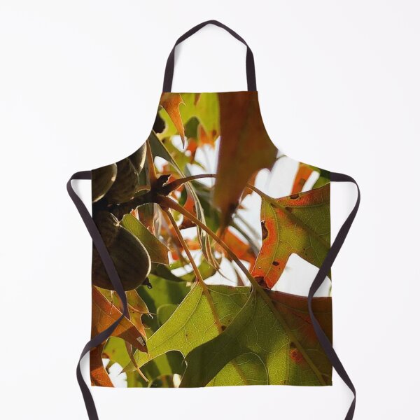 Item preview, Acorns, no filter photograph designed and sold by GiSilver.