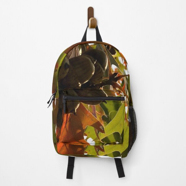 Item preview, Acorns, no filter photograph designed and sold by GiSilver.