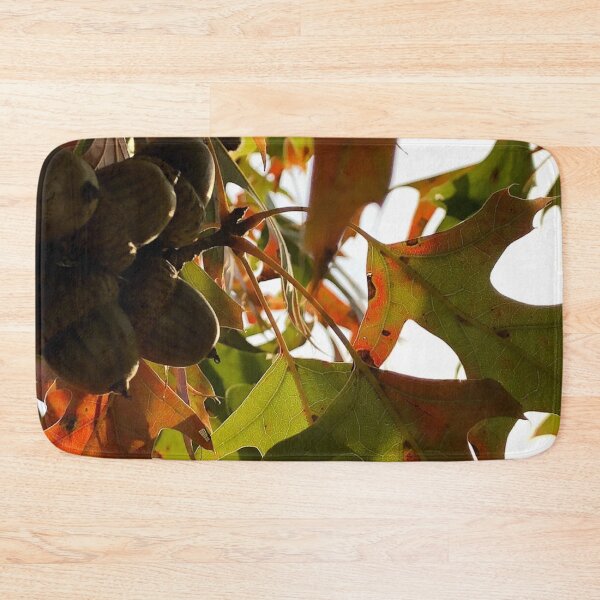 Item preview, Acorns, no filter photograph designed and sold by GiSilver.