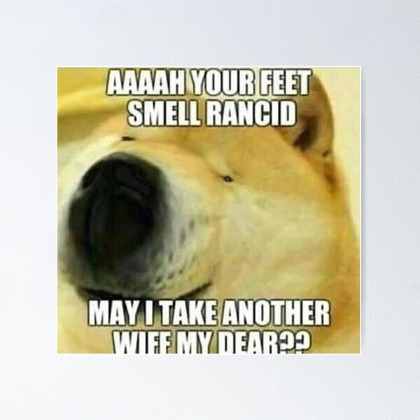 Item preview, Foot Doge designed and sold by Hilderbrandish.