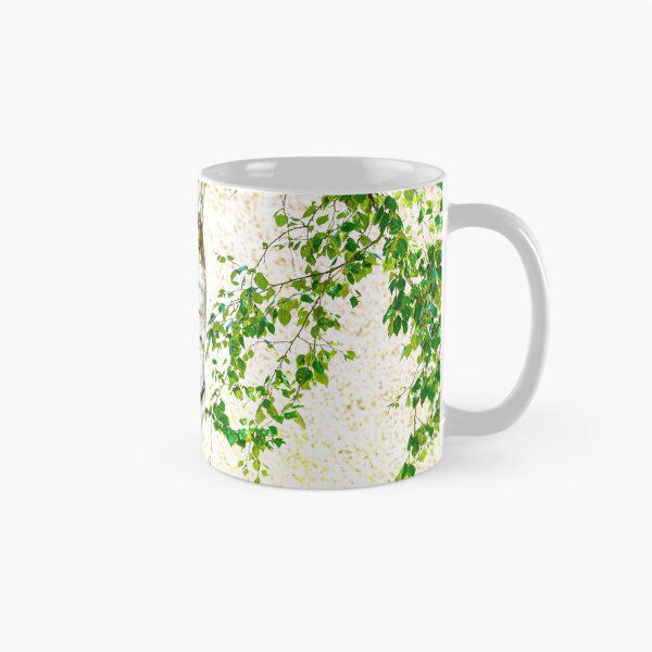 Item preview, Silver Birch designed and sold by metriognome.