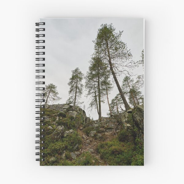 Item preview, The pines. Julma Olkky designed and sold by Jouko Lehto Photography.