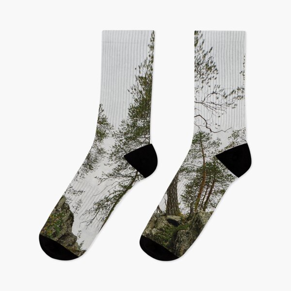 Item preview, The pines. Julma Olkky designed and sold by Jouko Lehto Photography.
