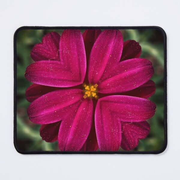 Item preview, Magenta Flower and Gold Center designed and sold by SilentBloomLab.