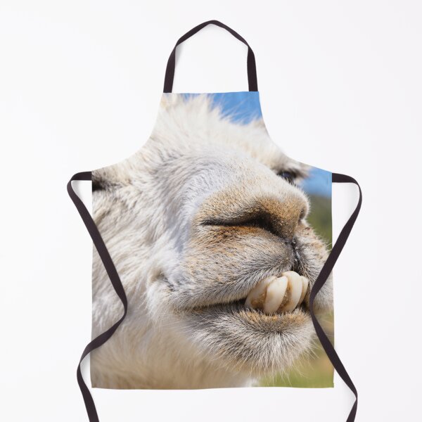 Item preview, Buck-Toothed Llama Grin designed and sold by Kimberly Palmer.