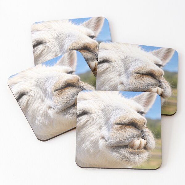 Item preview, Buck-Toothed Llama Grin designed and sold by Kimberly Palmer.