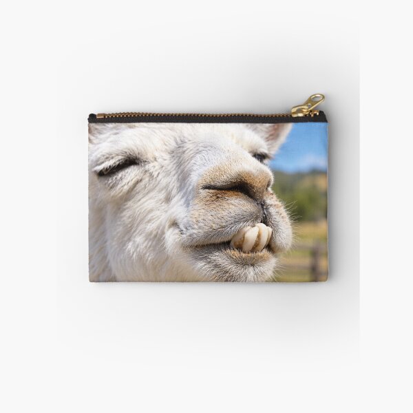 Item preview, Buck-Toothed Llama Grin designed and sold by Kimberly Palmer.