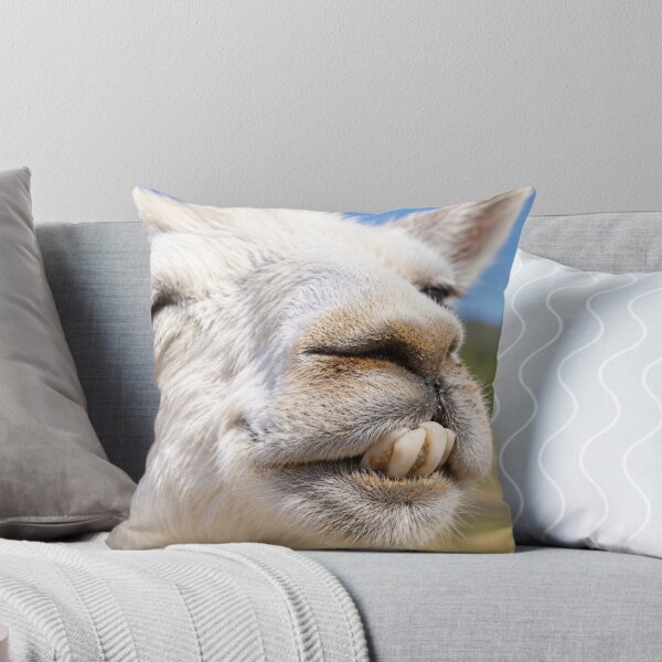 Item preview, Buck-Toothed Llama Grin designed and sold by Kimberly Palmer.