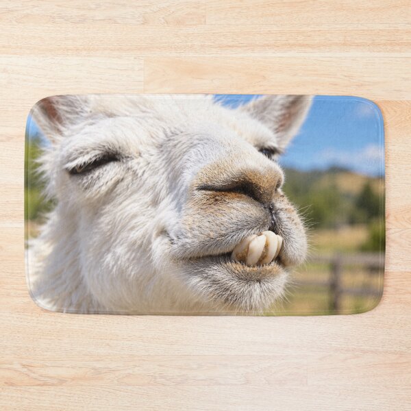 Item preview, Buck-Toothed Llama Grin designed and sold by Kimberly Palmer.