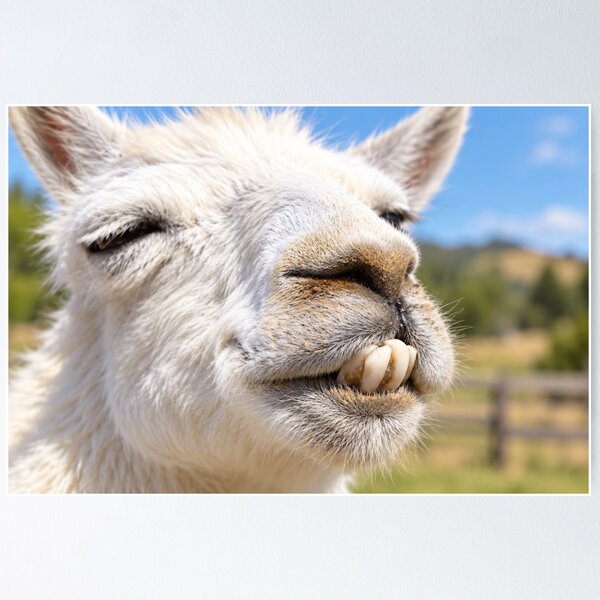 Item preview, Buck-Toothed Llama Grin designed and sold by Kimberly Palmer.
