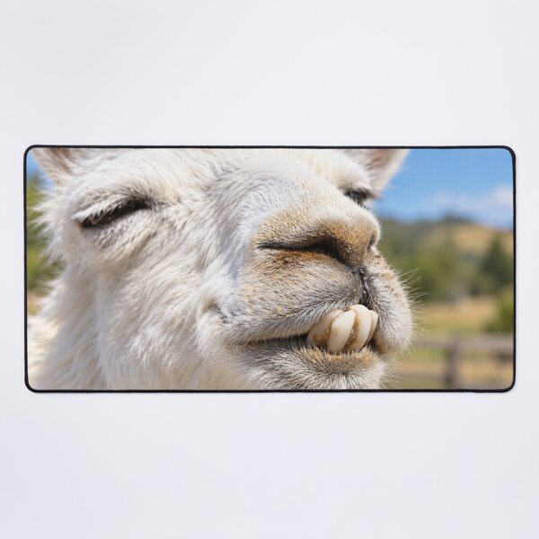 Item preview, Buck-Toothed Llama Grin designed and sold by Kimberly Palmer.