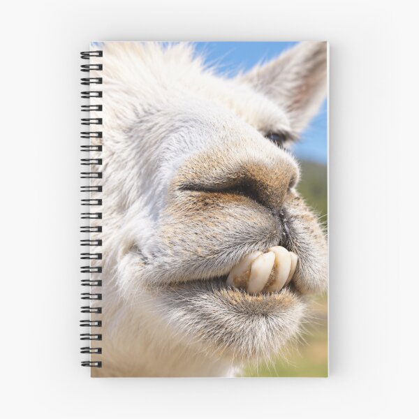 Item preview, Buck-Toothed Llama Grin designed and sold by Kimberly Palmer.