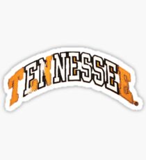 Drake Finesse Tennessee Sticker