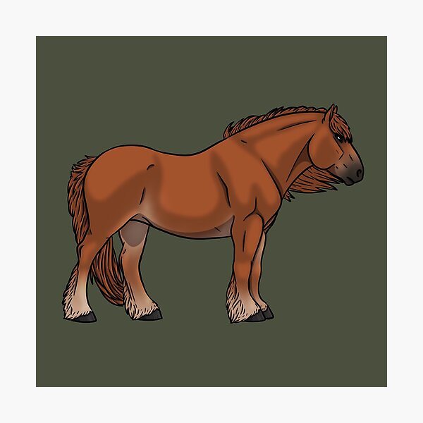 Item preview, Mealy Chestnut Jutland designed and sold by Old Water Cryptid .