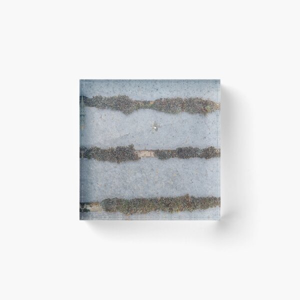 Item preview, Manolio Bricks and Moss designed and sold by ManOlio.