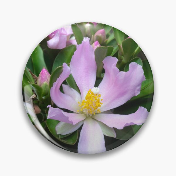 Item preview,  Pink Rose Cactus Pereskia  designed and sold by RichFrancoCars.