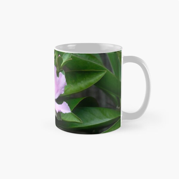 Item preview,  Pink Rose Cactus Pereskia  designed and sold by RichFrancoCars.