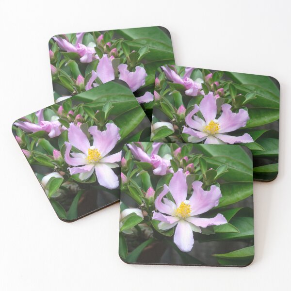Item preview,  Pink Rose Cactus Pereskia  designed and sold by RichFrancoCars.