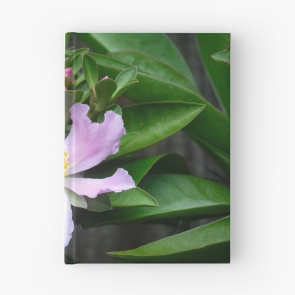 Item preview,  Pink Rose Cactus Pereskia  designed and sold by RichFrancoCars.