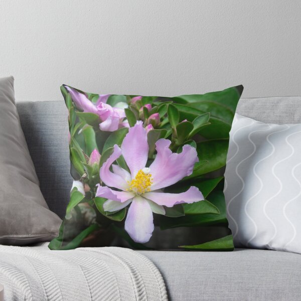 Item preview,  Pink Rose Cactus Pereskia  designed and sold by RichFrancoCars.