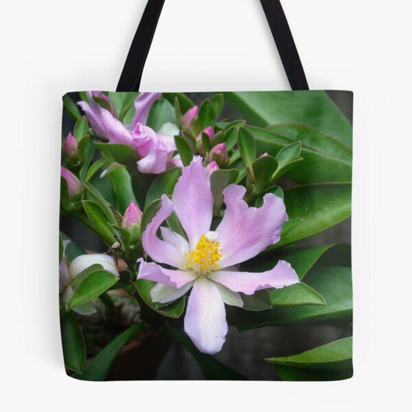 Item preview,  Pink Rose Cactus Pereskia  designed and sold by RichFrancoCars.