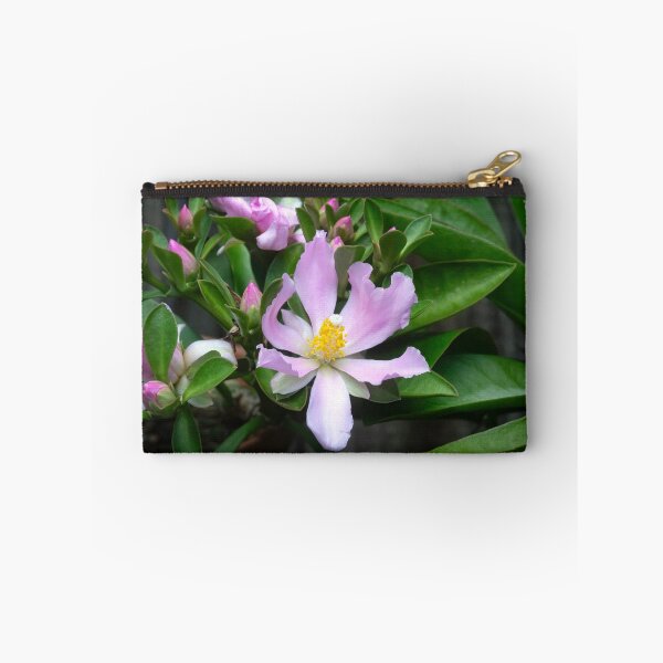 Item preview,  Pink Rose Cactus Pereskia  designed and sold by RichFrancoCars.