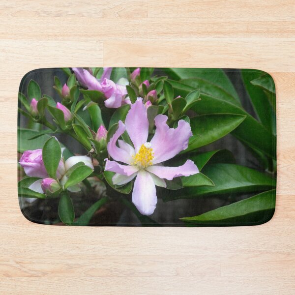 Item preview,  Pink Rose Cactus Pereskia  designed and sold by RichFrancoCars.