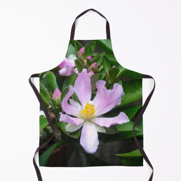 Item preview,  Pink Rose Cactus Pereskia  designed and sold by RichFrancoCars.