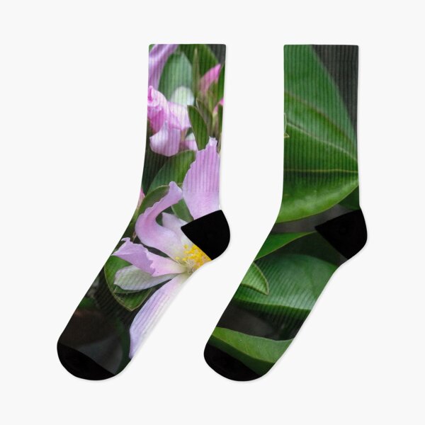Item preview,  Pink Rose Cactus Pereskia  designed and sold by RichFrancoCars.