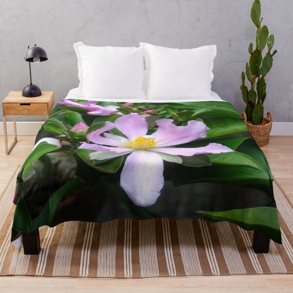 Item preview, Pink Rose Cactus Pereskia designed and sold by RichFrancoCars.