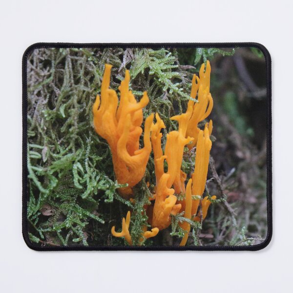 Item preview, Yellow Stags Horn designed and sold by Thistle Images.