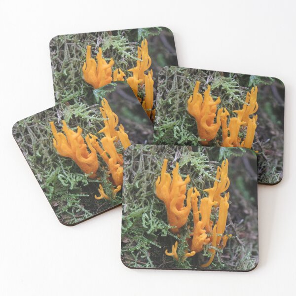 Item preview, Yellow Stags Horn designed and sold by Thistle Images.