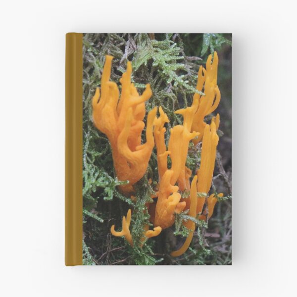 Item preview, Yellow Stags Horn designed and sold by Thistle Images.