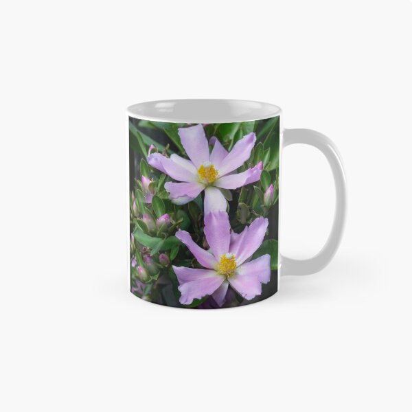 Item preview, Pink Rose Cactus Pereskia  designed and sold by RichFrancoCars.