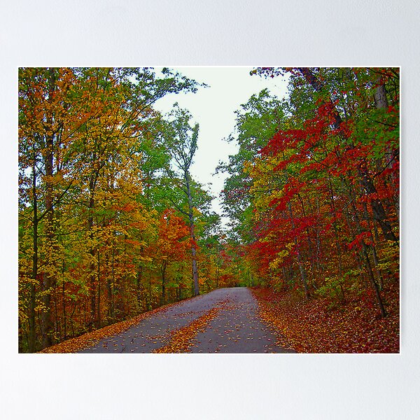 Item preview, *FALL'S ARRIVAL* designed and sold by Van Coleman.