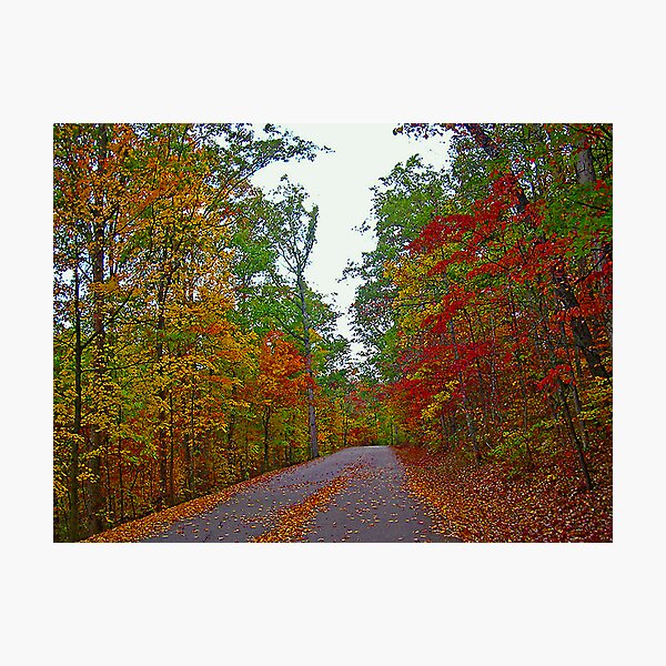 Item preview, *FALL'S ARRIVAL* designed and sold by Van Coleman.