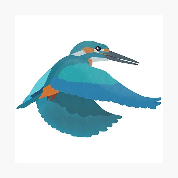 Item preview, Flying Kingfisher Illustration designed and sold by FandomizedRose.
