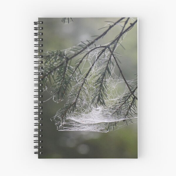Item preview, The Web designed and sold by Thistle Images.