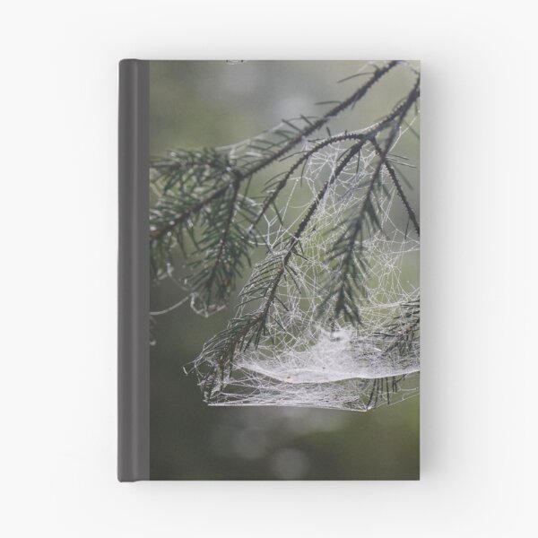 Item preview, The Web designed and sold by Thistle Images.