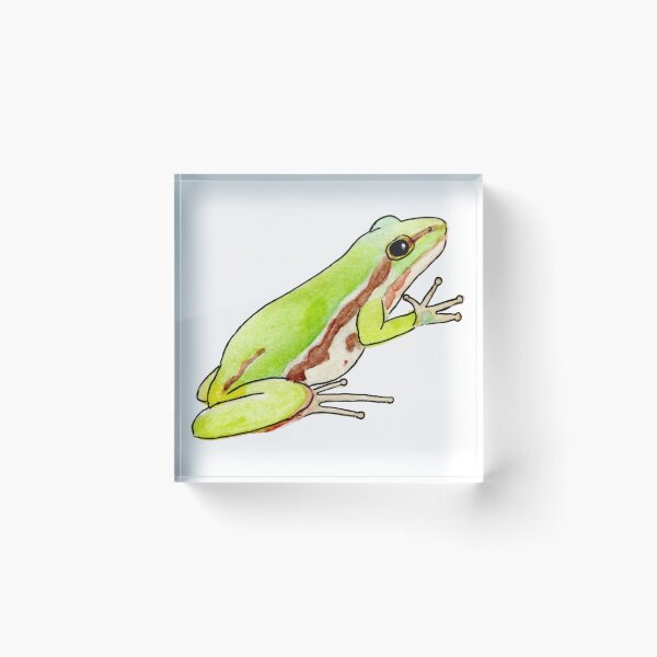 Artikelvorschau, Laubfrosch entworfen und verkauft von mayasciclonica.