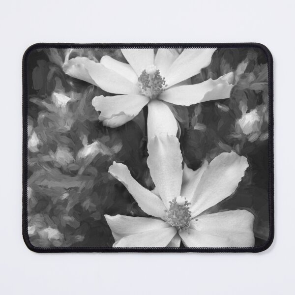 Item preview,  Pink Rose Cactus Pereskia  designed and sold by RichFrancoCars.