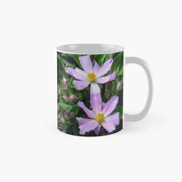 Item preview,  Pink Rose Cactus Pereskia  designed and sold by RichFrancoCars.