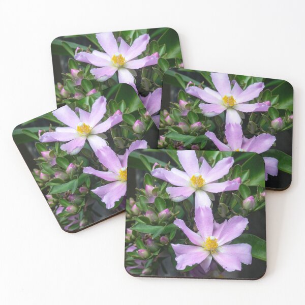 Item preview,  Pink Rose Cactus Pereskia  designed and sold by RichFrancoCars.
