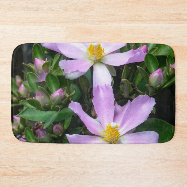 Item preview,  Pink Rose Cactus Pereskia  designed and sold by RichFrancoCars.