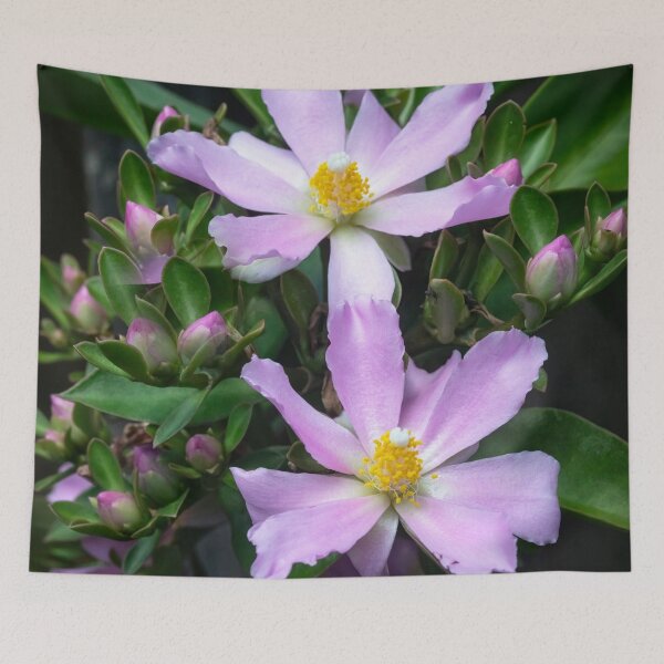 Item preview,  Pink Rose Cactus Pereskia  designed and sold by RichFrancoCars.