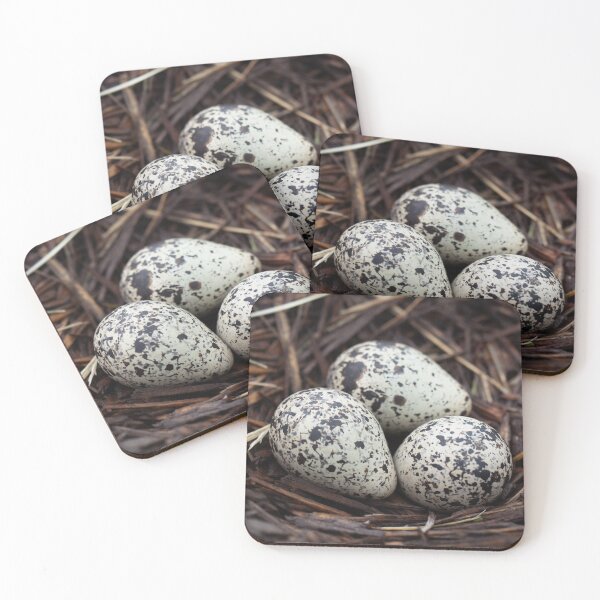 Item preview, 3 Killdeer Bird Eggs In A Nest designed and sold by design.by.porter.