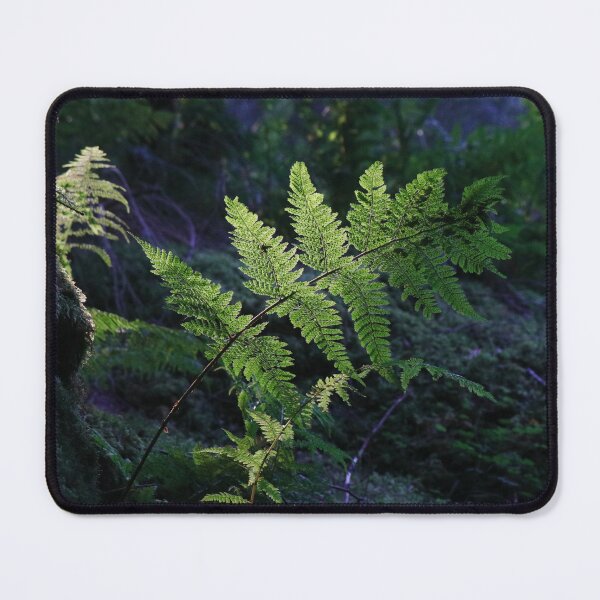 Item preview, Fern Light designed and sold by Thistle Images.