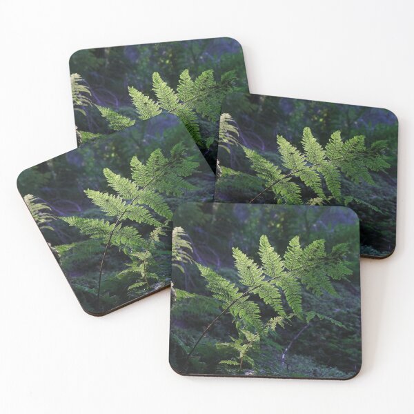 Item preview, Fern Light designed and sold by Thistle Images.