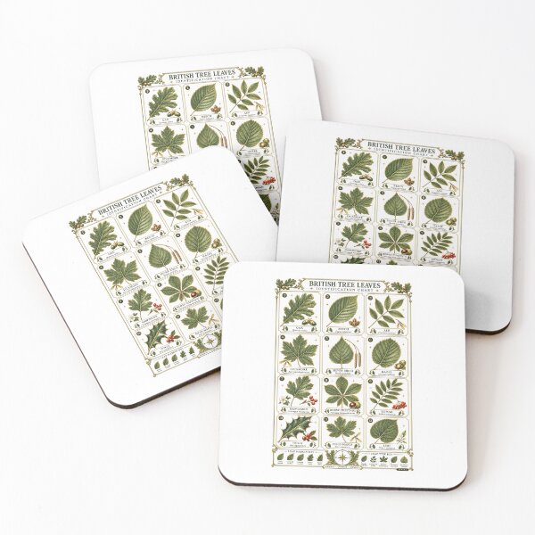 Item preview, British Tree Leaves Chart | Woodland Leaf Identification Art | Nature Study Naturalist Gift designed and sold by Brackenlume Studio.